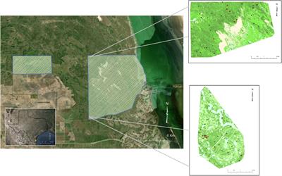 Influence of abiotic factors on habitat selection of sympatric ocelots and bobcats: testing the interactive range-limit theory